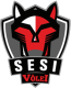 Sesi-Vôlei