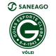 logo saneago goias volei